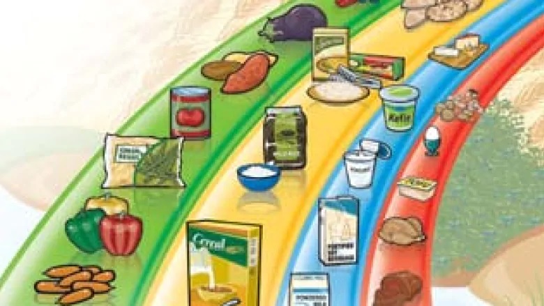 Canada Health Food Guide Chart Canada Health Food Guide Chart