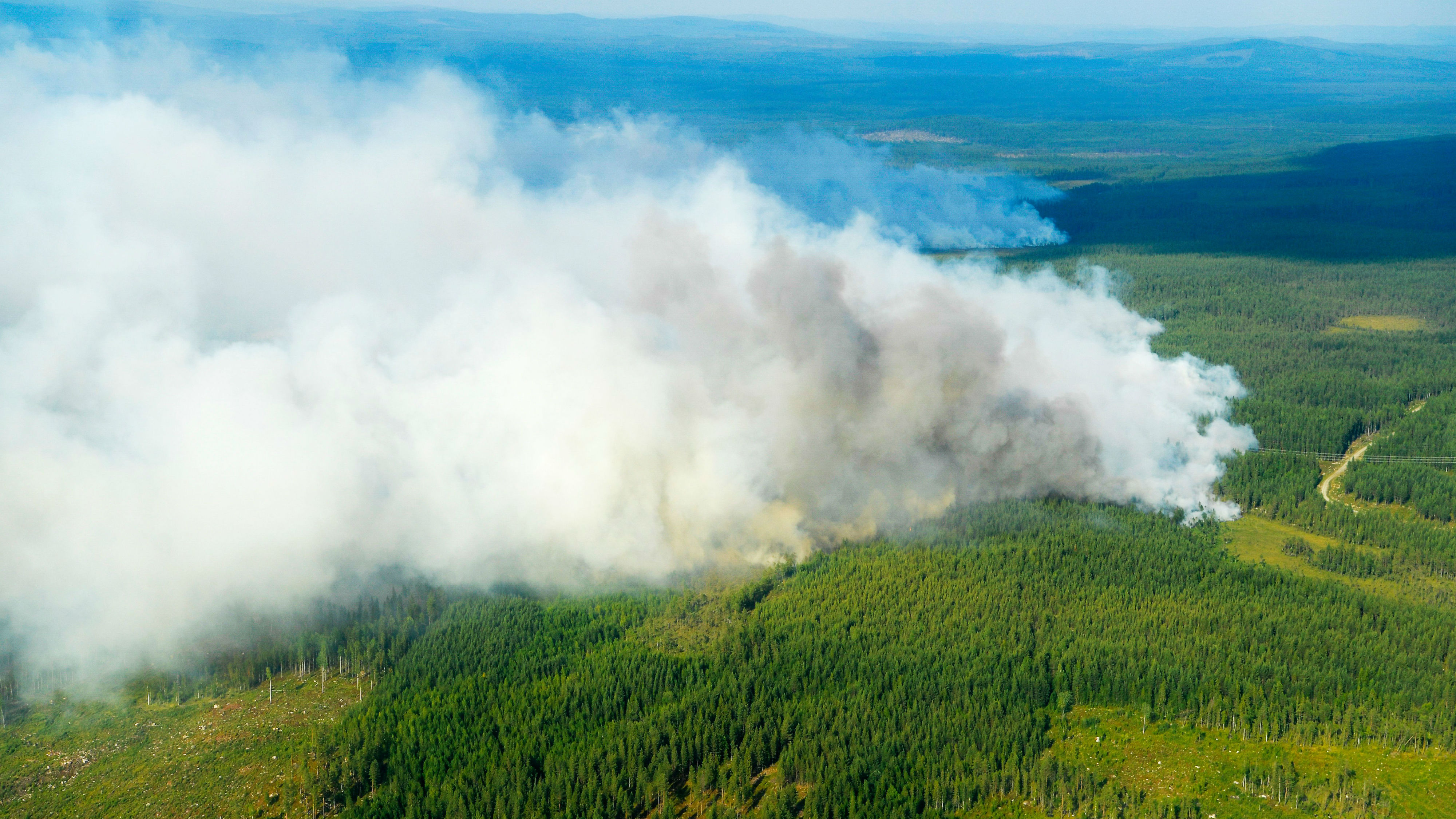 Sweden S Worst Natural Disaster Sweden S Worst Natural Disaster