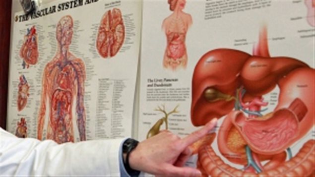 Des châtiments comme cesser de fumer spécialement pour les femmes lire en ligne