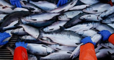 La nouvelle usine de transformation doit permettre de développer l’industrie de la pêche du Nord canadien La nouvelle usine de transformation doit permettre de développer l’industrie de la pêche du Nord canadien