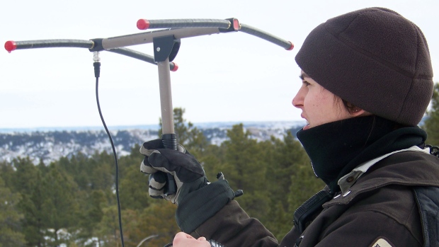 Carmen Luna/USFWS/CBC