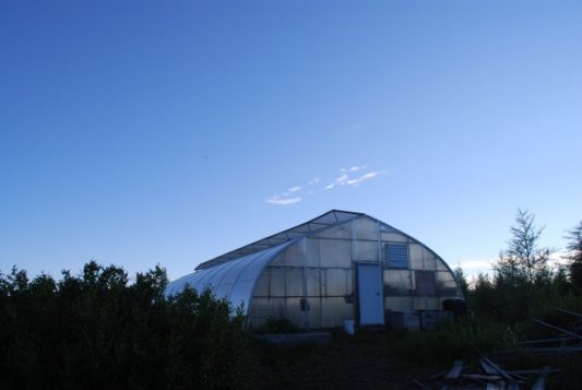 زراعة في البيوت البلاستيكيّة في كوجواك/Kuujjuaq greenhouse/Facebook)