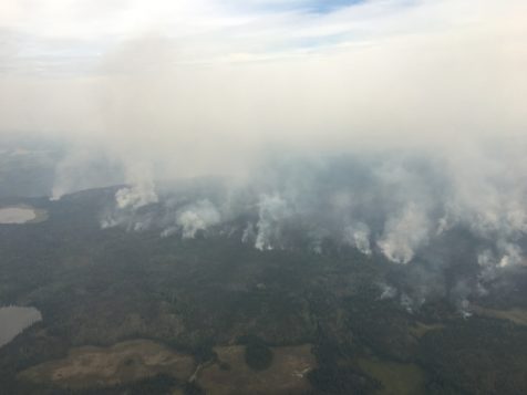 حرائق الغابات قضت على مساحات واسعة في مقاطعة بريتيش كولومبيا/(B.C. Wildfire Management