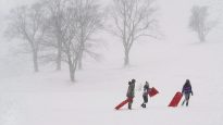 snow sliders