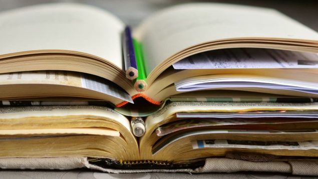 اختبار اللغة الفرنسية للمهاجرين أعلى كلفة من الإنجليزية/pixabay