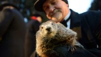 Co-handler Griffiths holds Punxsutawney Phil on Groundhog Day in Punxsutawney