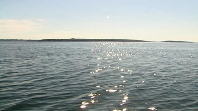 حرارة المياه العميقة مرتفعة قبالة سواحل كندا الأطلسيّة/ CBC/هيئة الاذاعة الكنديّة