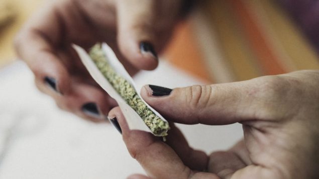 لفافة من الماريجوانا بين يدي سيّدة/Getty Images/Instants