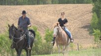 rossburn-9finger-ranch-manitoba-chevaux