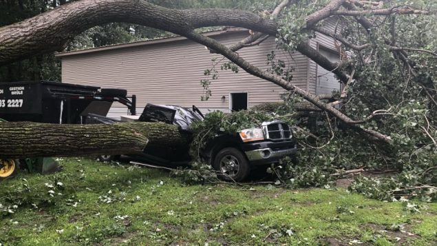 العواصف اقتلعت الأشجار التي هوت غصونها على أسطح المنازل ةالسيّارات المركونة في منطقة اوتاوي/Radio-Canada/Jérôme Bergeron