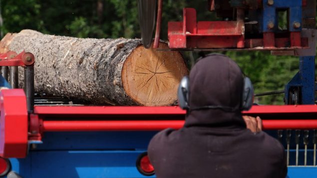 يأمل سكان فرت غود هوب حل أزمة السكن باستخدام أخشابهم/راديو كندا