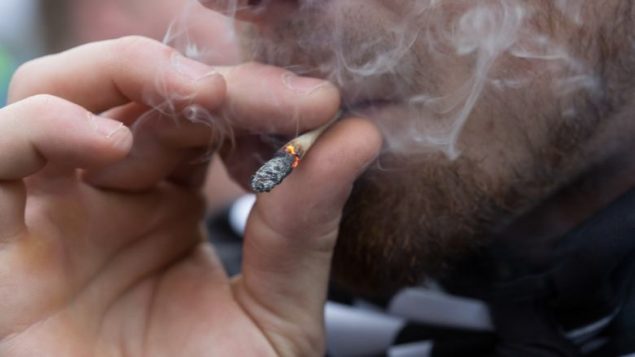نسبة استهلاك الماريجوانا تتماشى عكسيا مع السّن : 33% مابين 15 و 24 سنة و 13 % ما فوق 25 سنة. CBC/David Donnellly –