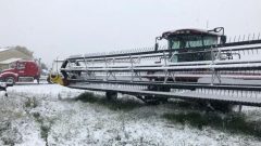 ما لا يقل عن 30٪ من بعض الحقول في مقاطعة سسكتشوان لا تزال لم تُحصد مقاطعة سسكتشوان بسبب البرد والأمطار والثلوج - Submitted by Devon Walker