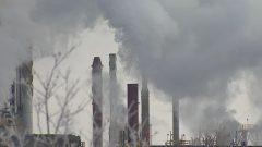 تطالب المجموعة بمبلغ 100 دولار عن كلّ متضرّر كتعويض جزائي - CBC