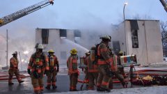 مثّلت الأفليات أكثر من 30٪ من التوظيفات في العام الماضي في مدينة مونتريال - Charles Contant/Radio Canada