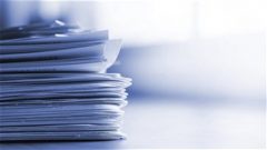 دد الأوراق المحفوظة يساوي 17 شجرة