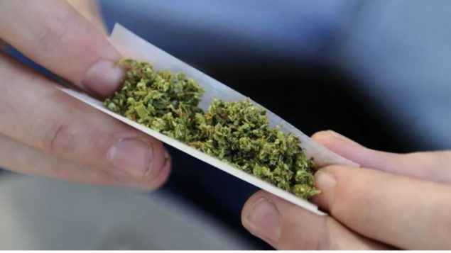 أسعار الماريجوانا ارتفعت منذ أن أصبح استهلاكه لأغراض ترفيهيّة شرعيّا في كندا/Juan Mabromata/AFP/Getty Images)