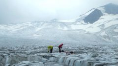 باحثون يدرسون أثر الرماد والدخان على المجلدات - Photo : Margot Vore