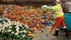 الغذاء الذي يتم التخلص منه دون داعٍ في كندا ينتج أكثر من 22 مليون طن من ثاني أكسيد الكربون ، وهو أحد مسببات التغير المناخ - CBC