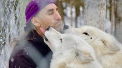 جيل غرانال، صاحب منتزه ماهيكان مع ذئابه - Radio Canada