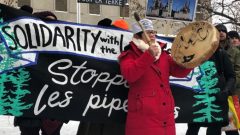 مسيرة لدعم معارضي مشروع خط أنابيب كوستال غاسلينك - Jessica Deer/CBC