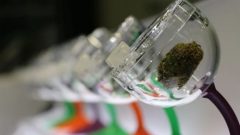 حاوية لعرض القتب - Jon Hernandez/CBC