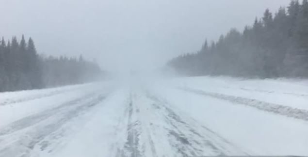 طريق غطّتها الثلوج في باثهورست في مقاطعة نيوبرنزويك/CBC/Gail Harding/هيئة الاذاعة الكنديّة