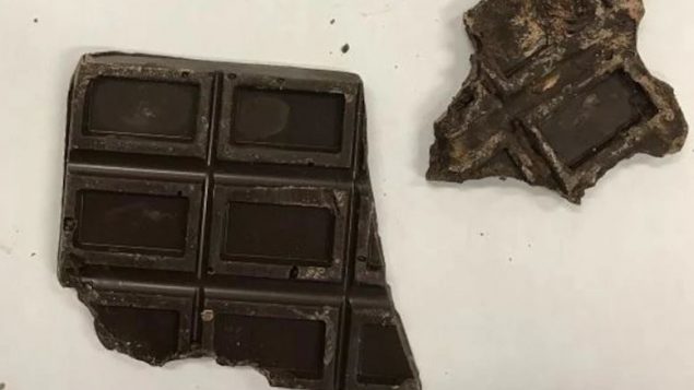 قطعة من الشوكولا تحوي القنّب/Brandon Police