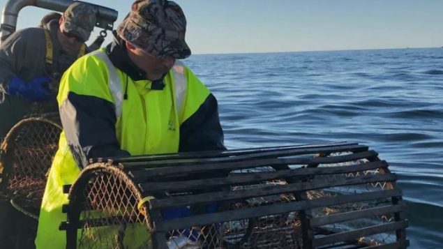 يعمل نحو من 1.100 صياد في موسم الصيد الربيعي - Kayla Hounsell / CBC
