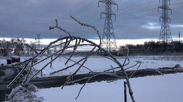 هوت أغصان الأشجار تحت تأثير سماكة الجليد في بعض مناطق جنوب كيبيك/Radio-Canada / Vincent Résseguier