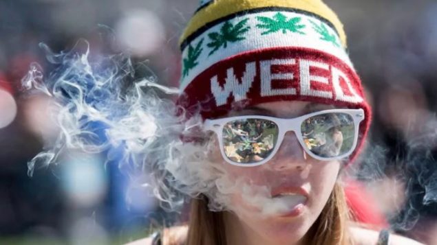 كان 68,6 % من الكنديين يؤيّدون تشريع الماريجوانا في عام 2017، و أصبحوا الآن 50,1 % ، وفقا للمسح - Justin Tang / The Canadian Press