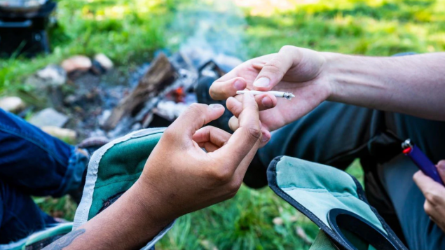 إذا كانت حكومة كيبيك قد وافقت على إعادة النظر في سياستها المتعلقة باستهلاك الماريجوانا في الحدائق العامة فهي لن تتراجع عن رفع السن القانونية لاستهلاك القنب من 18 إلى 21 عاما/حقوق الصورة: iStock