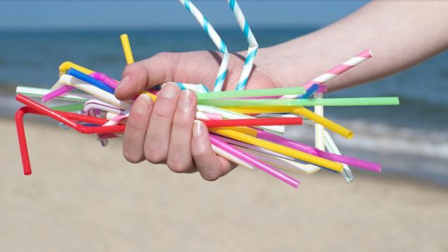 صحون البلاستيك واليتايروفوم وأكياس البلاستيك وقشّ الشرب من بين الأدوات التي سيتمّ حظر استخدامها في كندا/ iStock / Daisy-Daisy