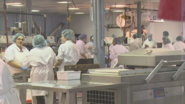 عمّال في مصنع رويال ستار فودز في مدينة تيغينيش في مقاطعة جزيرة برنس ادوارد/Laura Meader/CBC/هيئة الاذاعة الكنديّة