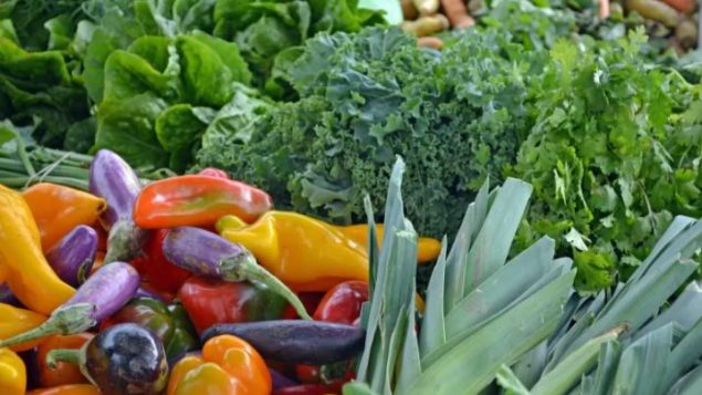 يتم إنتاج الخضروات العضوية في العديد من مزارع كيبيك دون استخدام المواد الكيميائية. لكن المبيدات تستخدم على نطاق واسع خارج قطاع الزراعة العضوية ، وتستخدم الأسمدة الكيماوية بكثافة أكبر في كيبيك أكثر من أي مقاطعة أو ولاية أخرى في أمريكا الشمالية - Isaac Olson / CBC