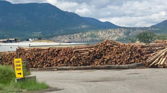 قلّصت العديد من مصانع الأخشاب أنشطتها في مقاطعة بريتيش كولومبيا/ Dominika Lirette/ Radio-Canada