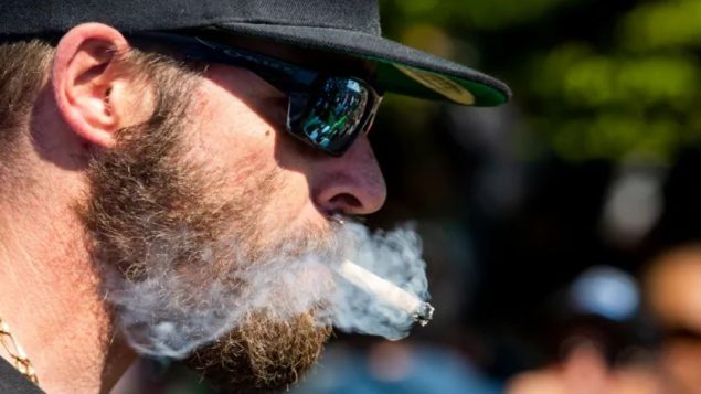 بريتيش كولومبيا سجّلت أعلى ارتفاع في استهلاك الماريجوانا بين عامي 2013 و2017/Ben Nelms/CBC/هيئة الاذاعة الكنديّة