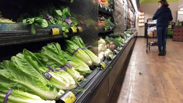 سجّلت أسعار الخضر والفواكه في نيوبرنزويك زيادة بنسبة 22,8٪، وهي الأكبر في كندا - .Mark J Terrill / Associated Press