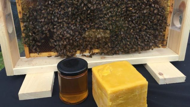 تمكّنت وكالة فحص الأغذية الكندية من منع ما يقرب من 12.800 كغ من العسل المغشوش من دخول السوق الكندية - Radio Canada / Brigitte Marcoux