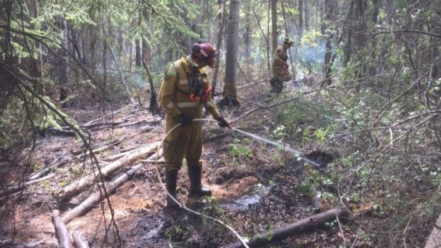 حكومة ألبرتا تعتزم مراجعة استعداداتها لمكافحة حرائق الغابات/ Alberta Wildfire)