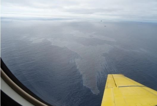 البقعة النفطية ظاهرة في عرض شواطئ نيوفاوندلاند ولابرادور - Photo : Canadian Coast Guard