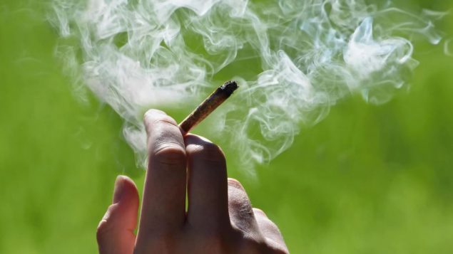 القانون الكندي يسمح باستهلاك الماريجوانا لأغراض ترفيهيّة/ISTOCK