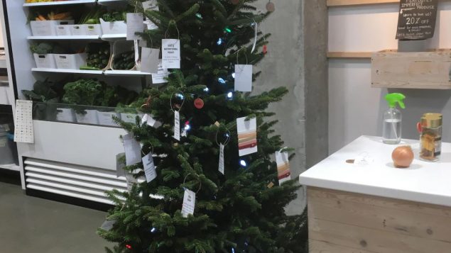 يمكن إعادة زرع شجرة الميلاد بعد الأعياد - Radio Canada / Dominique Lévesque