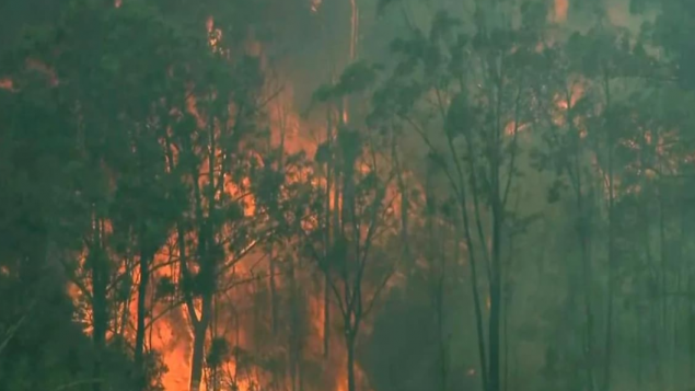 انضمّ فريق كندي للمساعدة في مكافحة حرائق الغابات في استراليا/AP/Australian Broadcastig Corporation