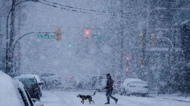 رجل يسير مع كلبه تحت الثلوج في مدينة فانكوفر في الغرب الكندي/Darryl Dyck//CP