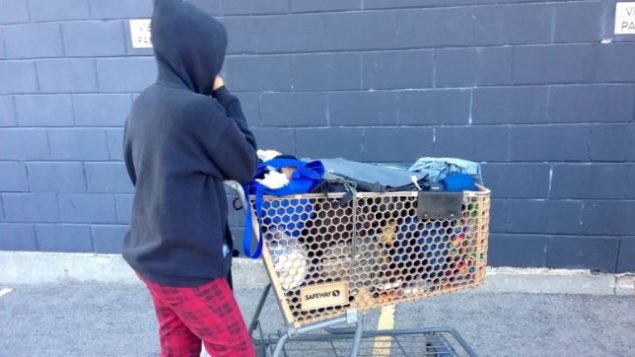 566.000 طفل يعيشون تحت عتبة الفقر في كندا في عام 2018، مقارنة بمليون قبل ستة أعوام - Kim Kaschor / CBC