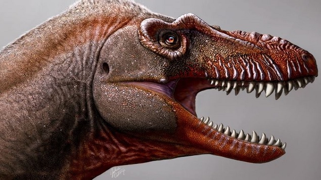 عاش ديناصور ثناتوثيرست قبل 79 مليون عام ، أي قبل زمن ديناصور T-Rex الشهير الذي يعود إلى حوالي 66 مليون سنة – Photo : Julius Csotonyi