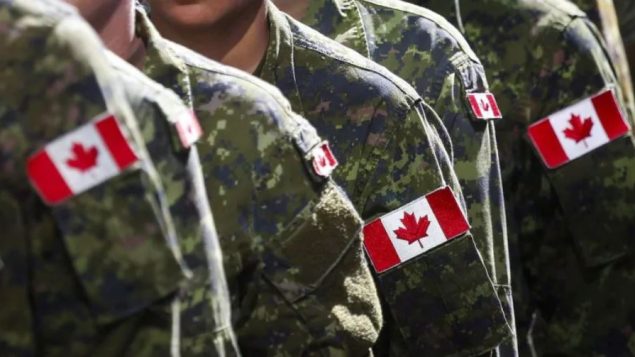 يمكن أن تُقدَّم المساعدة يمكن أن تُقدَّم عبر إلى الصليب الأحمر الكندي أوالقوات المسلحة الكندية أوالمتطوعين المتخصصين الذين سجلوا في وزارة الصحة الكندية - Jeff McIntosh / The Canadian Press