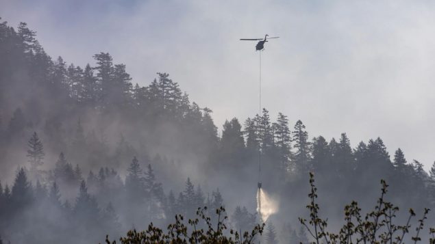 إلى غاية 19 يونيو حزيران، تم تسجيل 168 حريقًا غابات في جميع أنحاء المقاطعة ، أقل بكثير من متوسط الـ​​287 حريقًا في نفس التاريخ منذ عام 2010 - RADIO-CANADA / BEN NELMS
