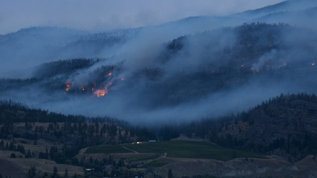 حريق غابات في ماونت كريستي في بريتيش كولومبيا/Jonathan Hayward/CP